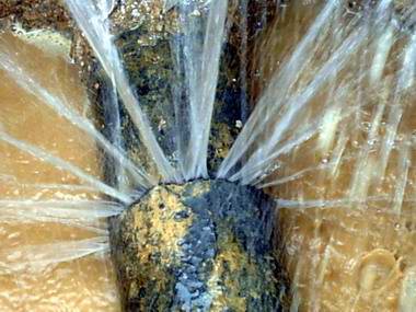 ܾW(wng)©ˮܕ(hu)ЩӰ